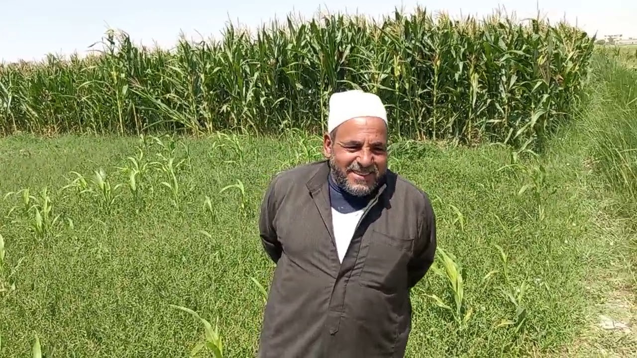 لقاء مع عم اسماعيل من المزارعين بالفرافرة محافظة الوادى الجديد...استعلام واتس فون ٠١٠١٧٨٧٣٨٢٢