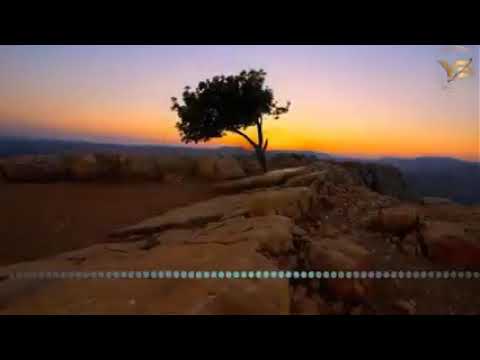    الاغنية التي هزت العالم الحبيبة يا فلسطين