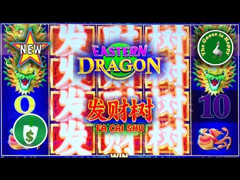 ⭐️ New 😄 Eastern Dragon Fa Cai Shu slot machine, Nice Bonus