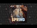 FILV - Spring