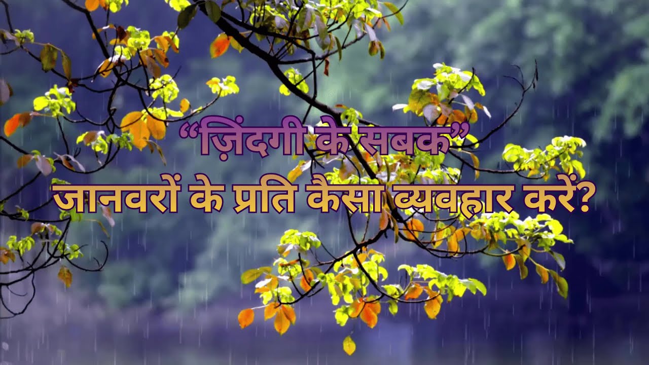 जानवरों के प्रति हमारा व्यवहार कैसा होना चाहिए? | करुणा और मानवता की सच्ची पहचान | 