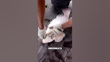 Who Needs a Boat When You Have a Hole in the Floor? 😂 (@the.genius100) #FishingShorts #FunnyFishing