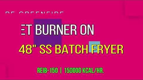 48" SS BATCH FRYER INBUILT EXCHANGER || PELLET BURNER || RE Greenfire™