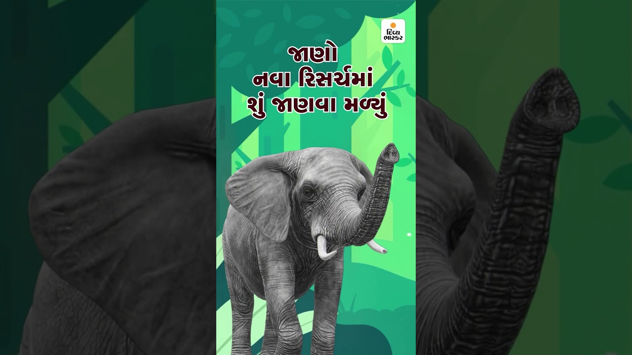 RESEARCH ON ELEPHANT - Divya Bhaskar Vertical