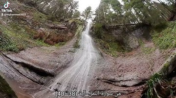 حالات واتس اب دينيه قران كريم من سوره النمل