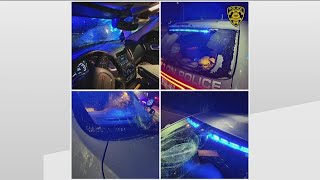10 arrested for reckless driving, damaging police car | South Fulton