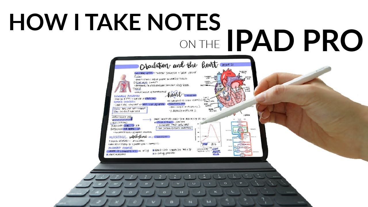 how-i-write-neat-effective-notes-on-my-ipad-pro-goodnotes-youtube