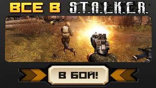 Забив в STALKER ЧН онлайн