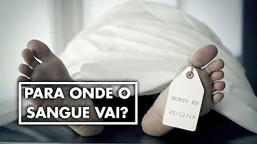 O que acontece com o sangue após a morte?