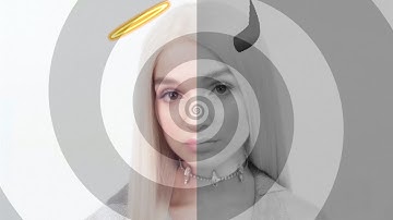 Tea Theory: What Do Poppy