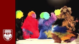 Nick Cave - Performance