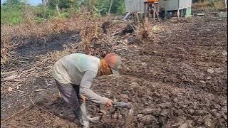 THE SPIRIT OF THE BURNING BED, PARTIALLY PLANTED, ALREADY BELONGS TO PERANTO MAS ROHMAT