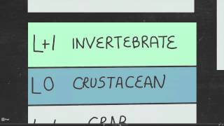 cracking the code to educational analysis - question 5 sequencing Net Worth
