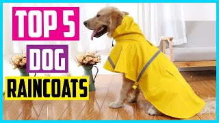 ✅ Top 5 Best Dog Raincoats in 2024