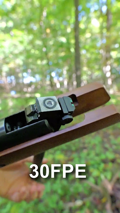 World's Most Powerful Break Barrel Air Rifle! #gun #airgunning #airgun #shorts