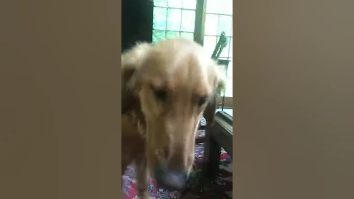 Eating grape monster