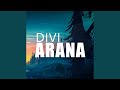 Divi arana