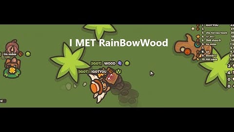 [TAMING.IO] I MET RainBowWood in taming|IGOTYOU