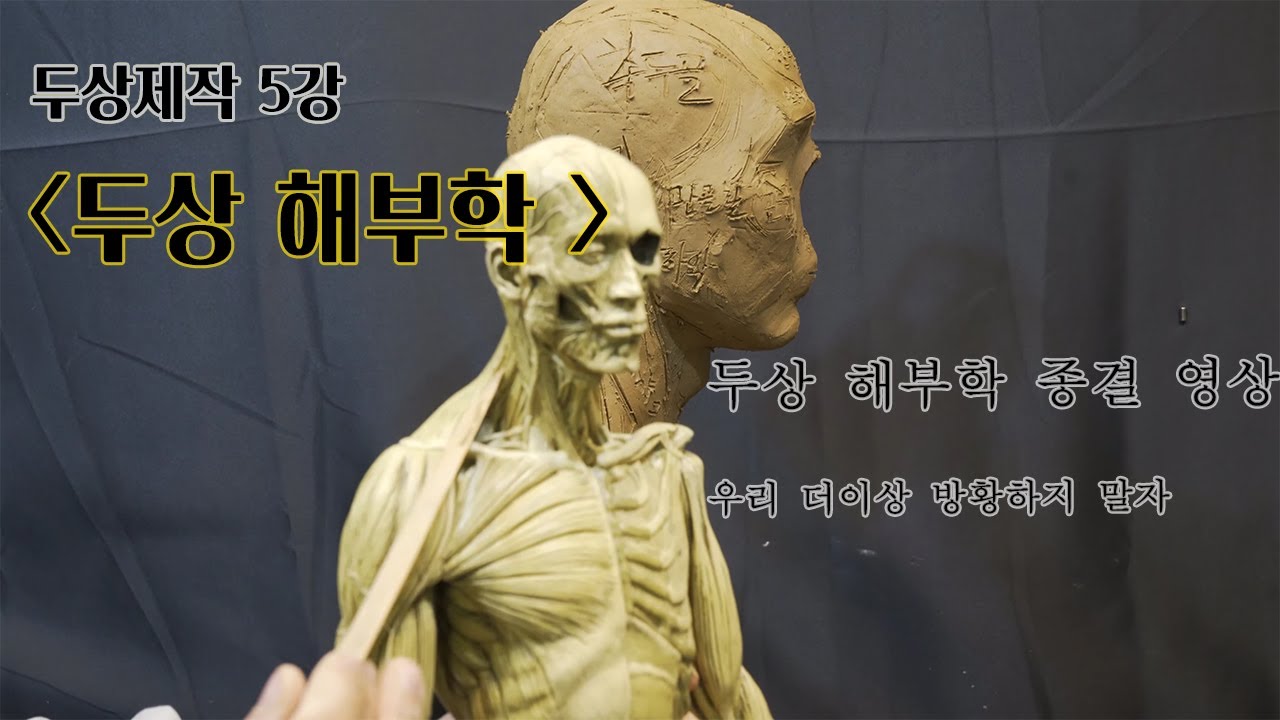 5 ENG SUB head Anatomy YouTube 5-eng-sub-head-anatomy-youtube