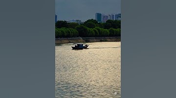 🌿 Sông Tô Lịch chính thức xanh trở lại sau nhiều năm ô nhiễm 🌿