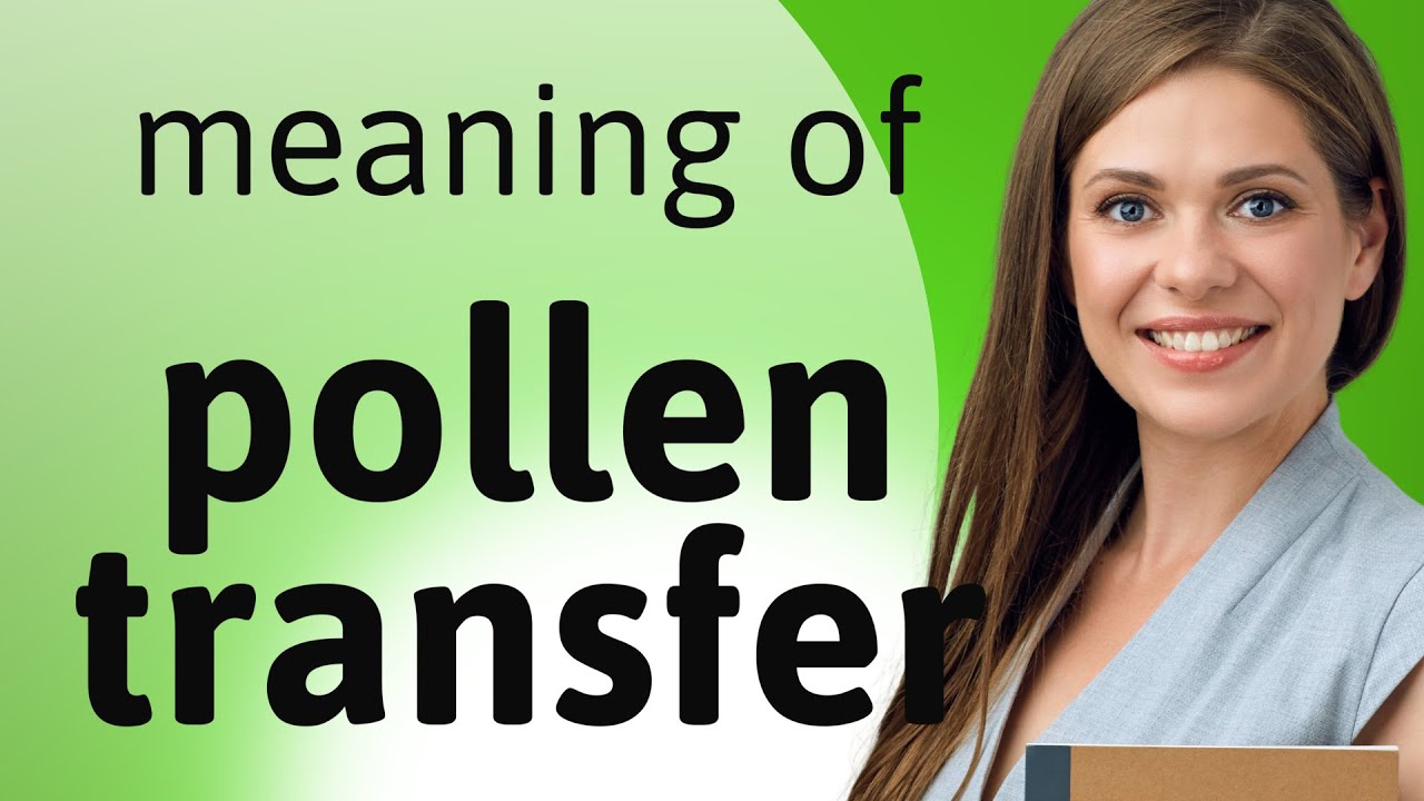 Pollen Transfer: The Journey from Flower to Flower