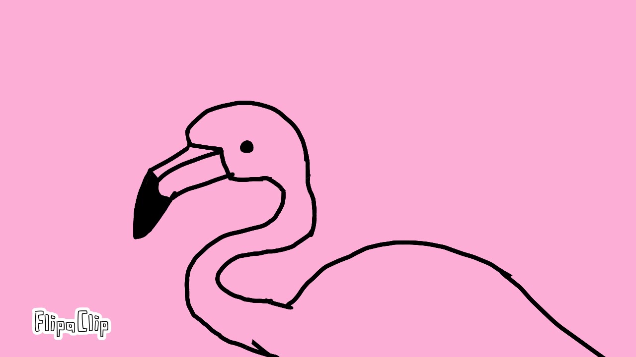 Flamingo fuck yourself case