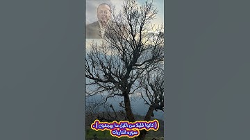 ( كانوا قليلا من الليل ما يهجعون ) سوره الذاريات
