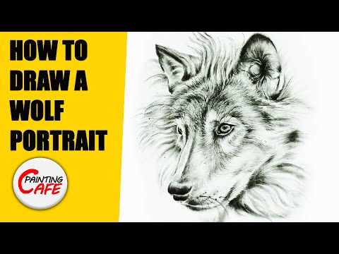How To Draw A Wolf – A Step-by-Step Tutorials – Artlex