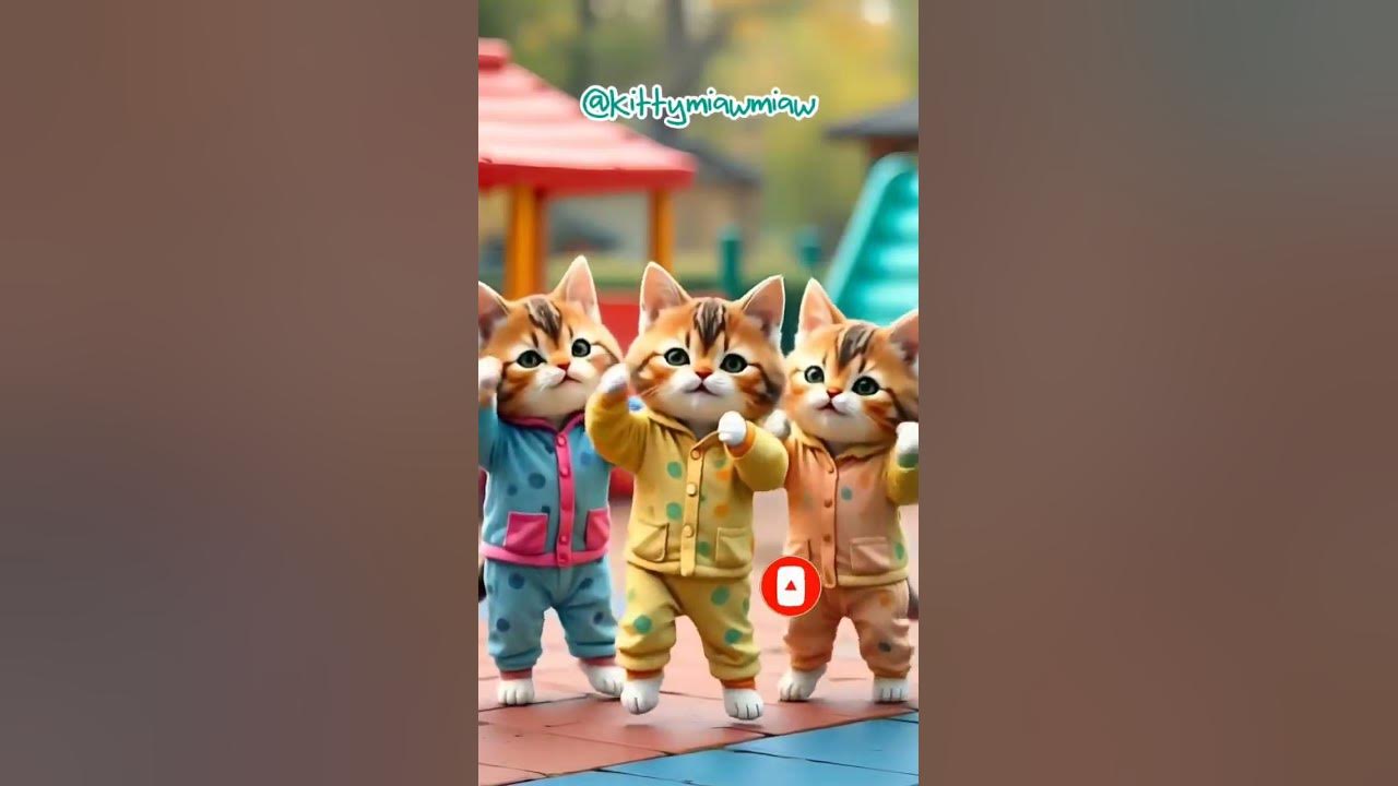 kupu kupu terbang melayang ~ kucing imut lagi nyanyi #kucinglucu #kucingnyanyi #kucingjoget