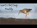 Bird Photography Tips | Why You Should Get Down Low