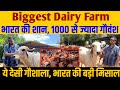 Most successful desi cow dairy farm in india an extraordinary man in ncr  hetha  documentary 