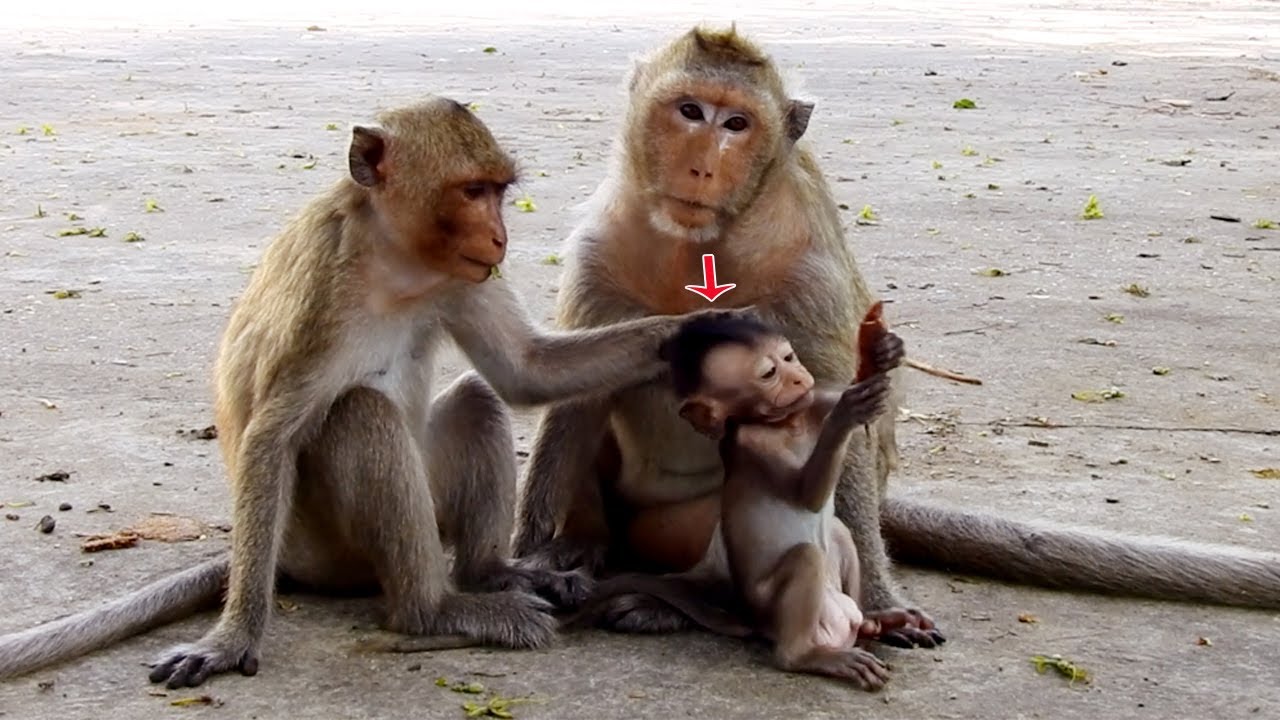 Funny orphan Martin very lucky - Midwife never careless