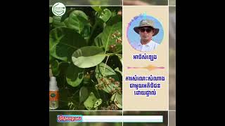 សម្រាប់ព័ត៌មានទំនាក់ទំនងផ្នែកលក់ផ្ទាល់:0976739911/0962080468 នឹងភ្ជាប់ជាមួយនឹងតេលេក្រាមផងដែរ