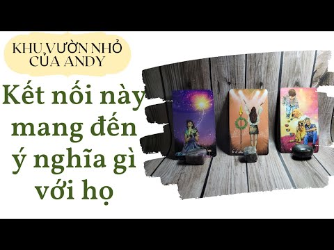 Video Chọn 1 tụ bài Tarot - Kết nối này có ý nghĩa gì với họ... - youtube