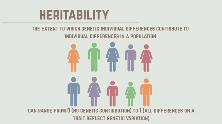Heritability Simply Explained