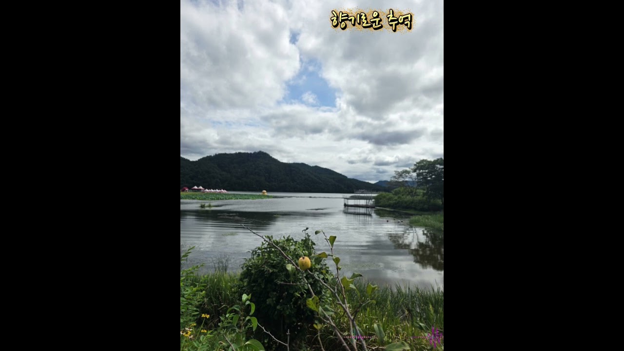 🚫 돌아오지 않는 바람(rock ballad.ver)🥕아직 못 잊은 사람 있다면 듣지 마세요 💔😭🌧