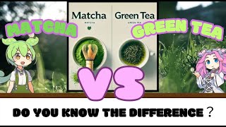 WACHA Matcha VS Green Tea  | Introducing the Difference between Matcha and Green Tea