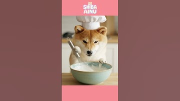 SHIBA INU COOKING ASMR! #SHIBAINU #SHIBA #시바이누 #mukbang #asmrmukbangeating #먹방asmr #cooking