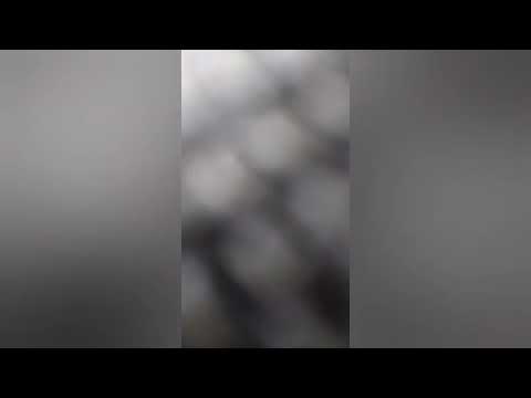 لا ياقلبي وين حبابك حالات واتس الموت ربيع الآسمر ربيع الاسمر سم الموت