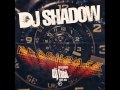 DJ Food - DJ Shadow Flashback Megamix