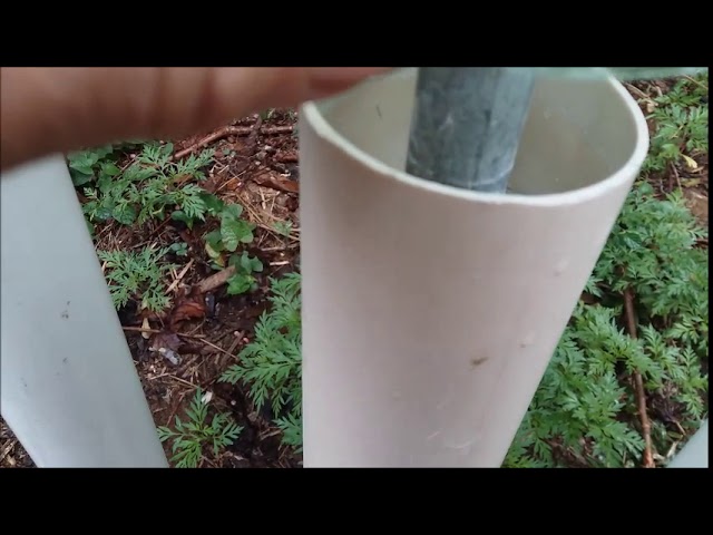 Cavalete Para Colmeias de Abelhas com proteção contra Formigas - YouTube