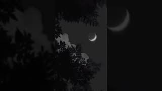 وسط البلد  اللي غاب عن عيني   سمعها