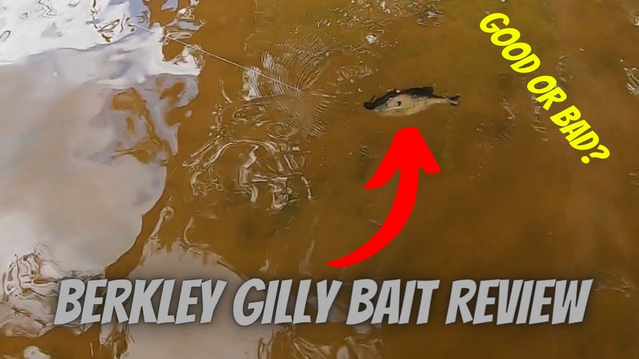 Bait Review! Berkley Powerbait Gilly Swimbait 
