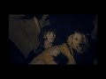ドレスコーズ「少年セゾン」MUSIC VIDEO