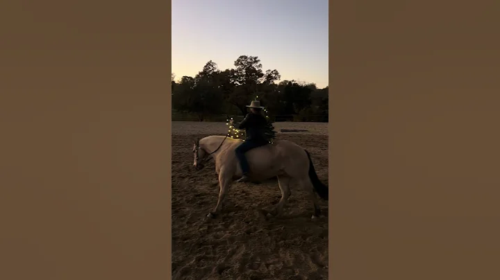 A new way to wrap lights around the Christmas tree 🐎🎄  #horse #merrychristmas #horsetraining