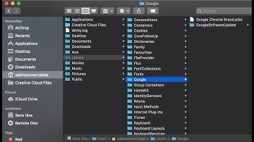 How to get rid of Bing browser in Chrome by deleting a .plist file  MacOS