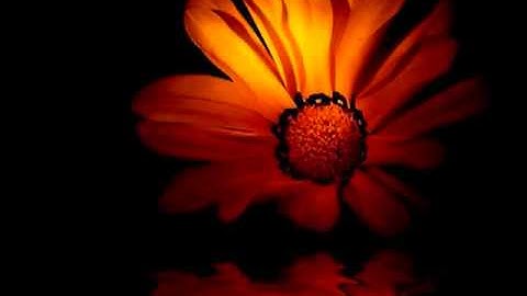 تلاوة صدقوني رااااااااااااااااااااااااائعة !!!!