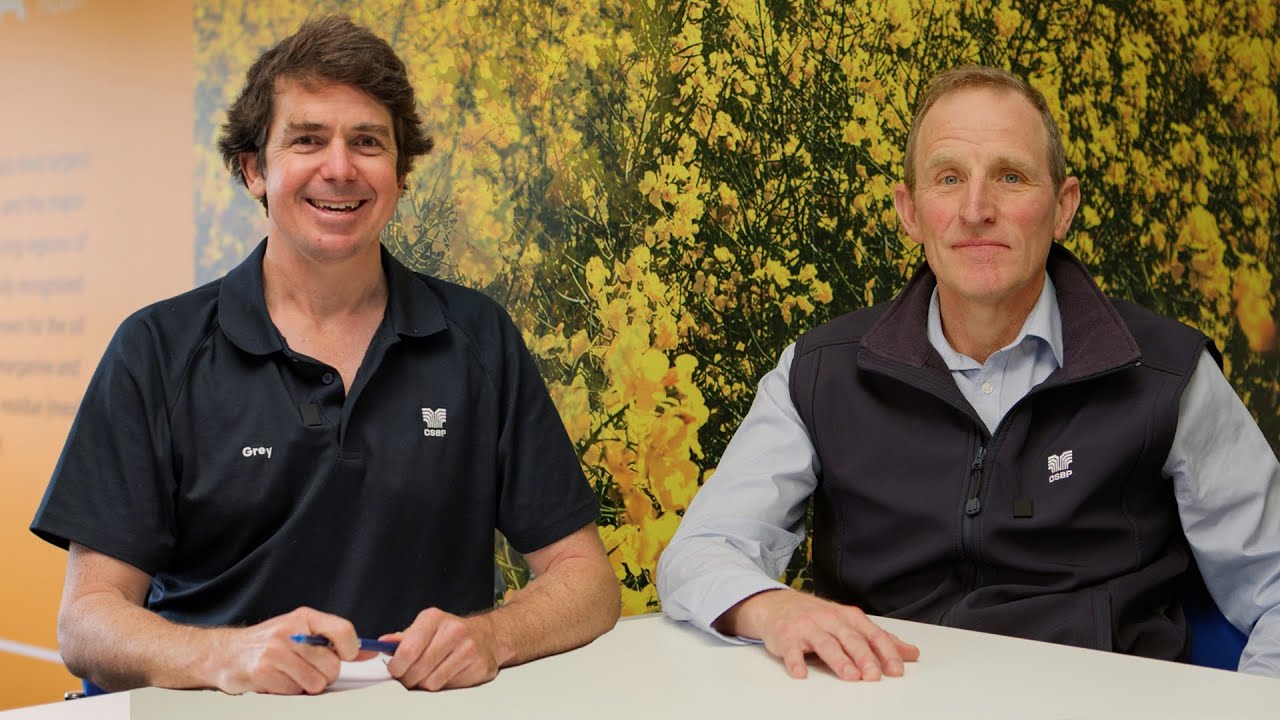 CSBP Market Update   13 June 2025