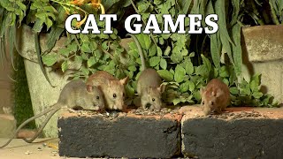 Mice  Video For Cats To Watch - Cat Games - Entertainment For Cats to Watch Mice by Awesome Nature  6,447 views 5 months ago 10 hours