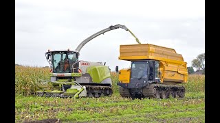 Maïs 2023 | Damsteegt | Heijdra | Claas Jaguar 940 on tracks | Prinoth Panther | IHI | Wet field